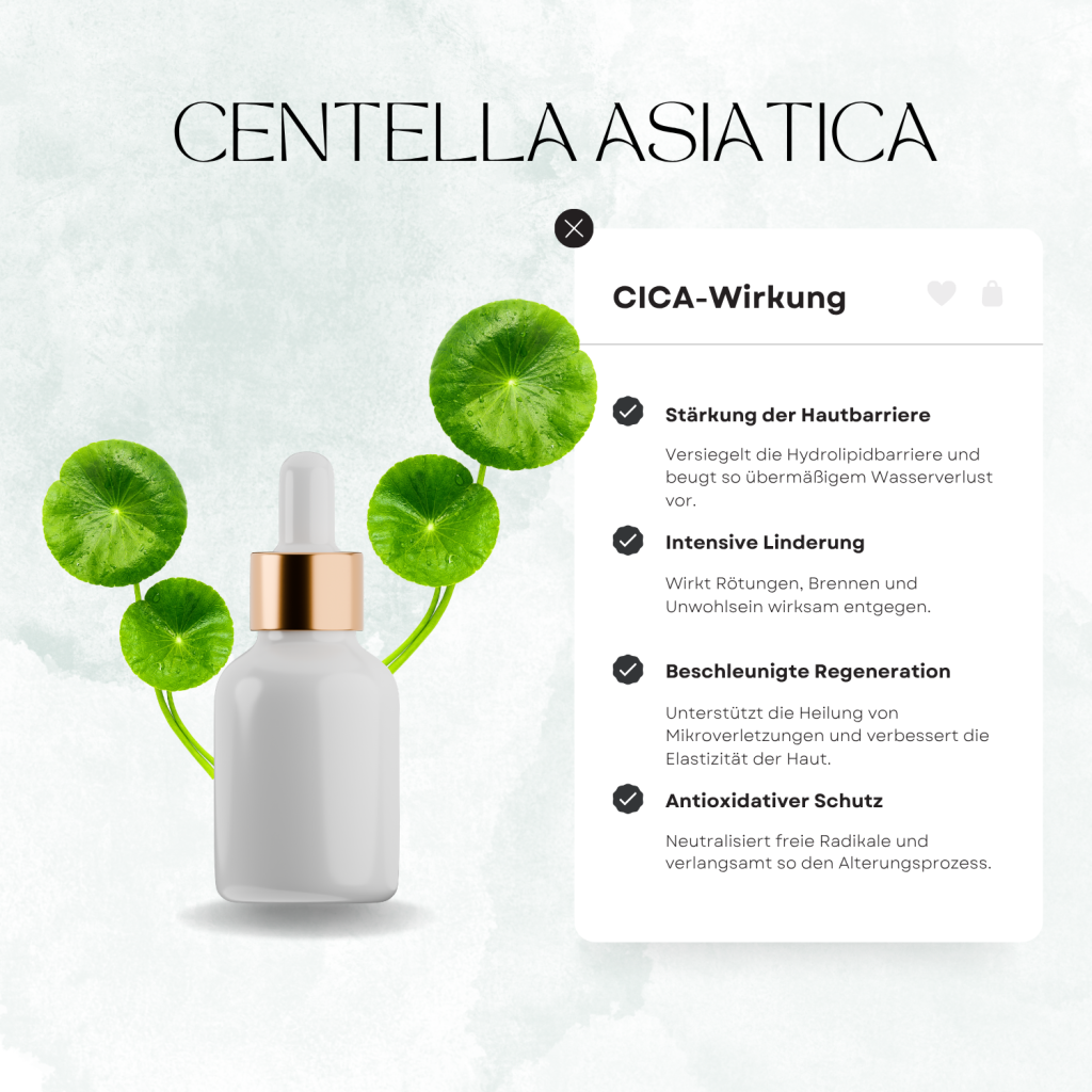 Centella Asiatica Wirkung