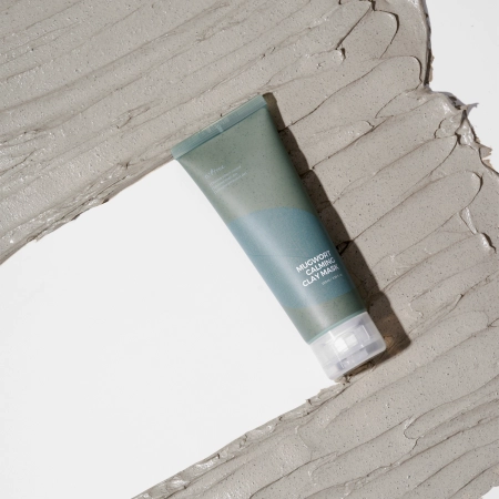Isntree - Real Mugwort Calming Clay Mask - Tonerdemaske mit Beifuß - 100ml