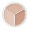 TFIT - Cover Up Pro Concealer Palette -  Palette mit Abdeckstiften - Neutral - 10g