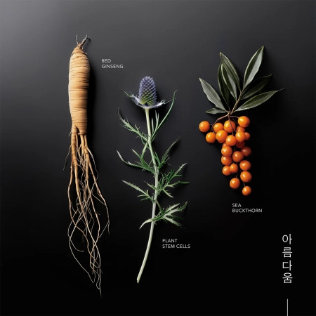 KORIKA - Korean Heritage Ginseng & Marine Stem Cells Cell Renew Eye Cream - Augencreme - 15 ml