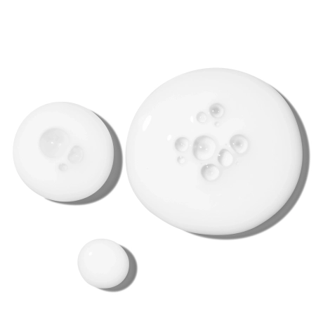 The Ordinary - Rice Lipids + Ectoin Microemulsion - Mikroemulsion mit Reis-Lipiden und Ectoin - 120ml