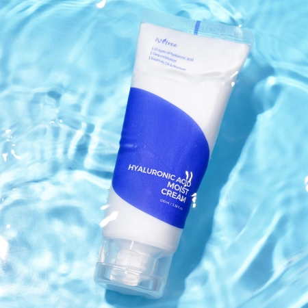 Isntree - Hyaluronic Acid Moist Cream- Feuchtigkeitscreme mit Hyaluronsäure - 100ml