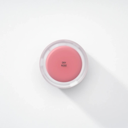 titto - Lip & Cheek Dual Pot - Duo für Lippen und Wangen - #06 Dry Rose/Veiled Rosy - 10g