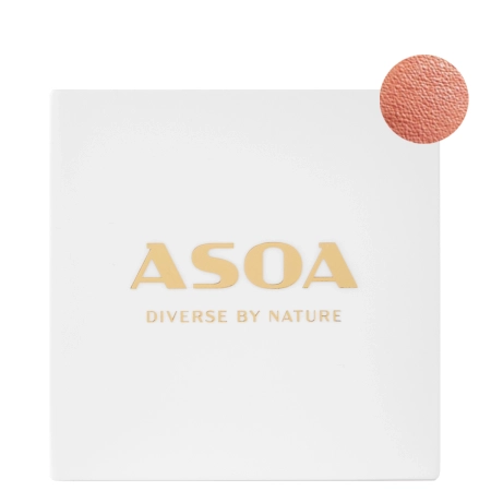 Asoa - Mineralisches Rouge - Pastel Coral - 6g
