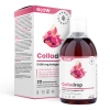 Aura Herbals - Colladrop Glow Meereskollagen 5000 mg - Flüssigkeit - 500ml