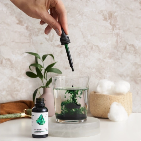 Aura Herbals - Weiße Maulbeere Chlorophyll Konzentrat - Tropfen - 30ml