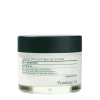 Pyunkang Yul - Calming Moisture Barrier Cream - Lindernde Feuchtigkeitscreme - 50ml