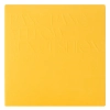 ELROEL - Pang Pang Sun Cushion Plus - Sonnenschutz in Kissenform - 15g
